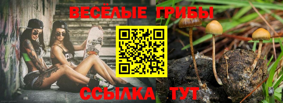 Псилоцибиновые грибы Cubensis  Вход с VPN  Петропавловск-Камчатский  Псилоцибиновые грибы MAGIC MUSHROOMS 