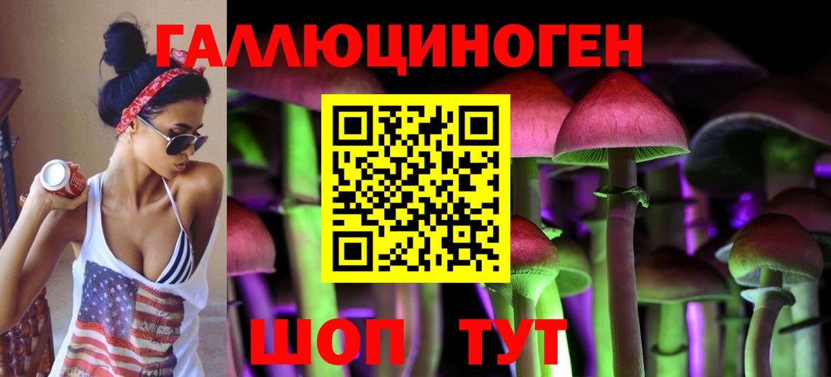 Псилоцибиновые грибы GOLDEN TEACHER Петропавловск-Камчатский